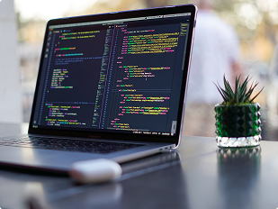 Commitment to learning web development